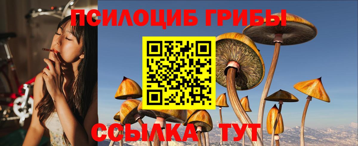 Кинель  Галлюциногенные грибы мухоморы  Вход с VPN 